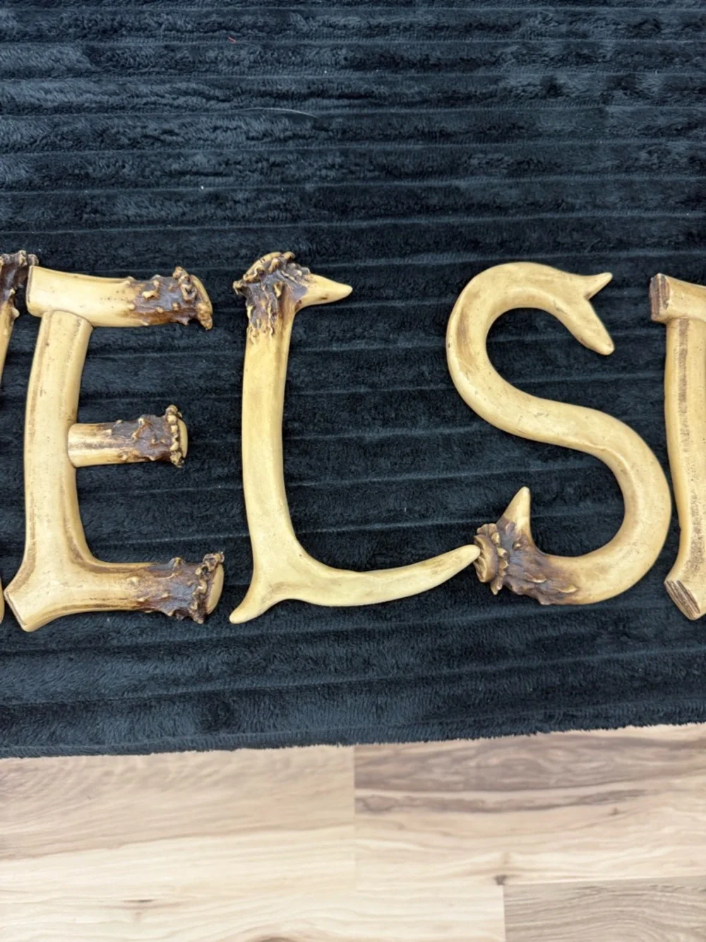 Custom Name Chelsea in Deer Antler decor